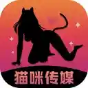 猫咪传媒
